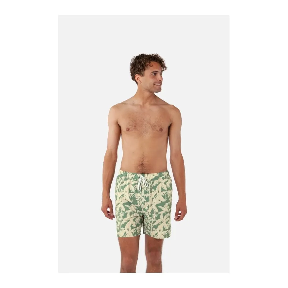 Baltra Shorts