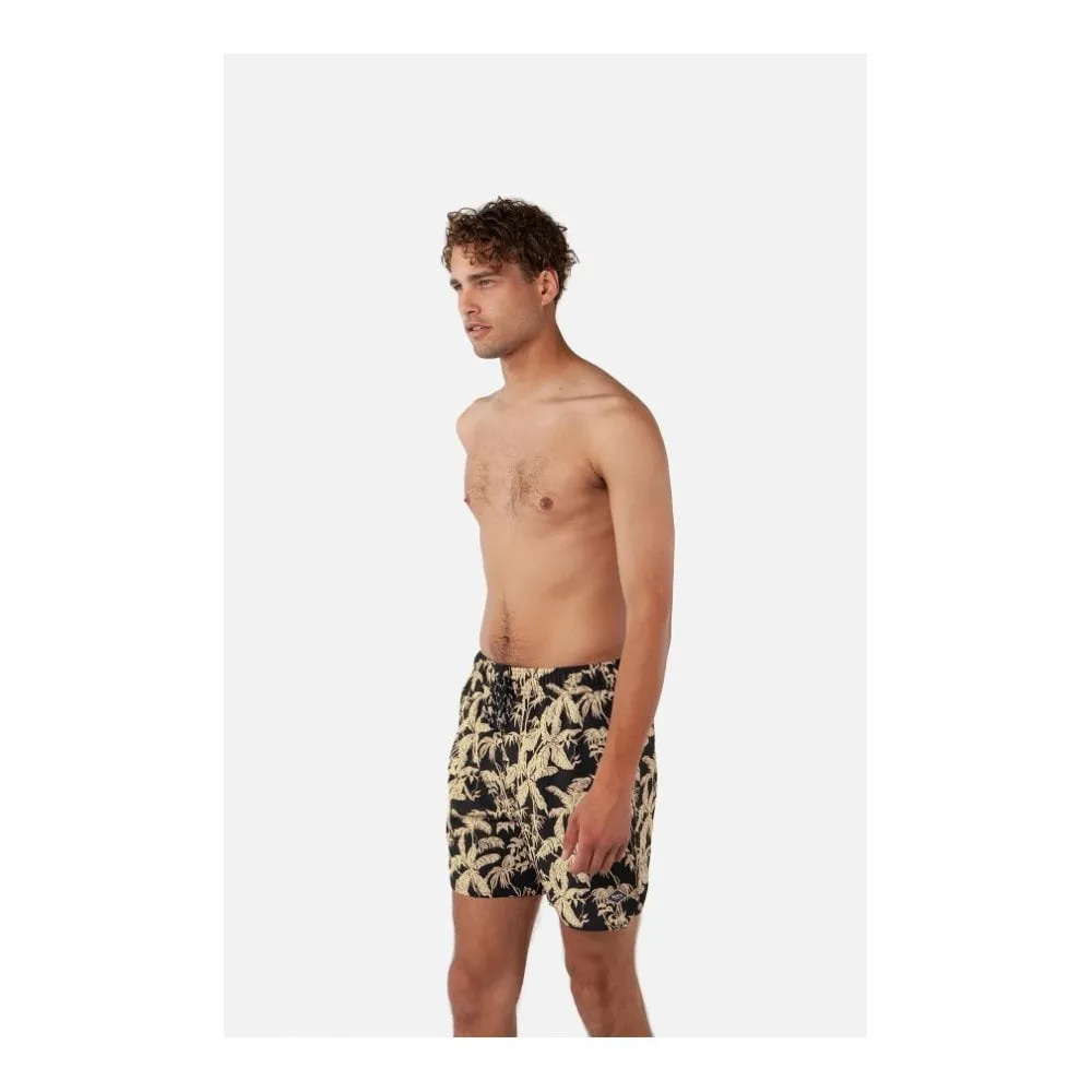 Baltra Shorts