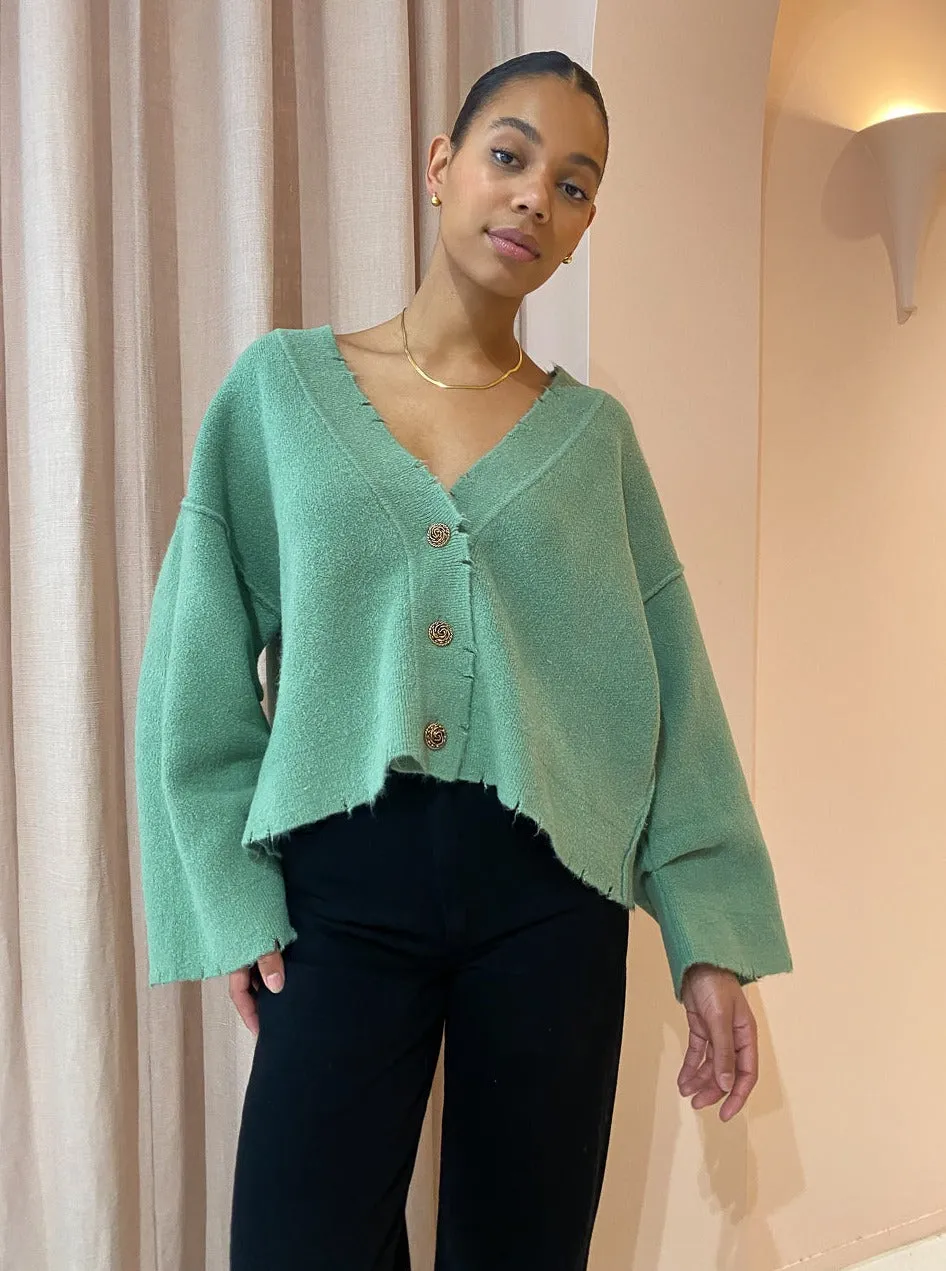 Blanca Pepa Cardigan in Pistachio