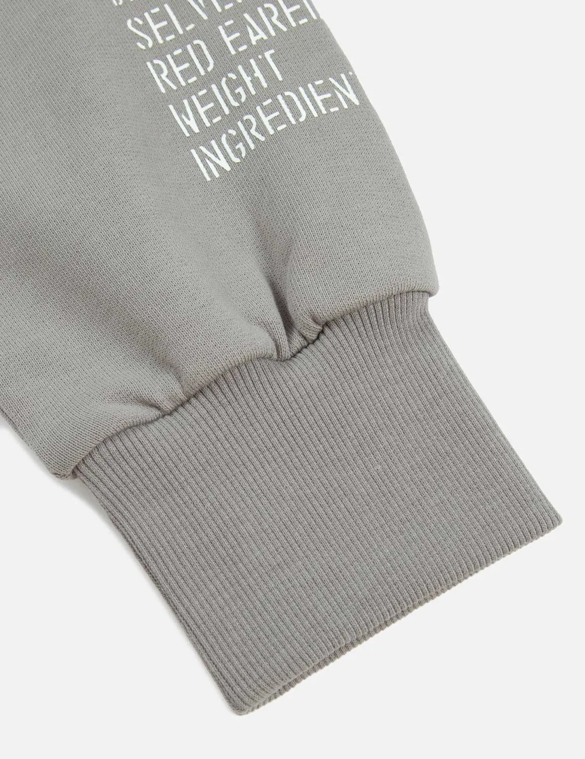 Graffiti Seagull and Slogan print Loose Fit Hoodie