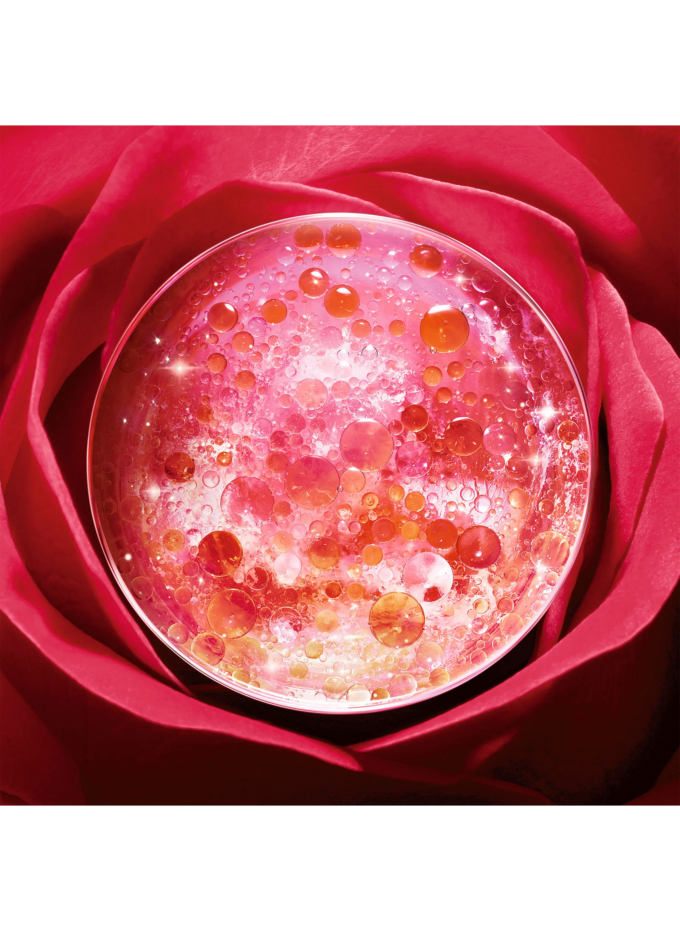 Lancome  Absolue revitalising eye cream