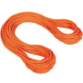 Mammut 9.8 Crag Dry Rope climbing rope