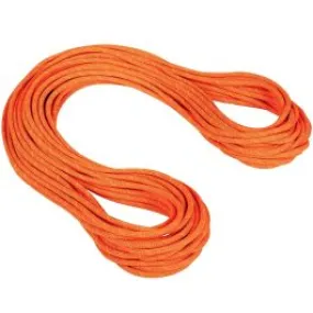 Mammut 9.8 Crag Dry Rope climbing rope