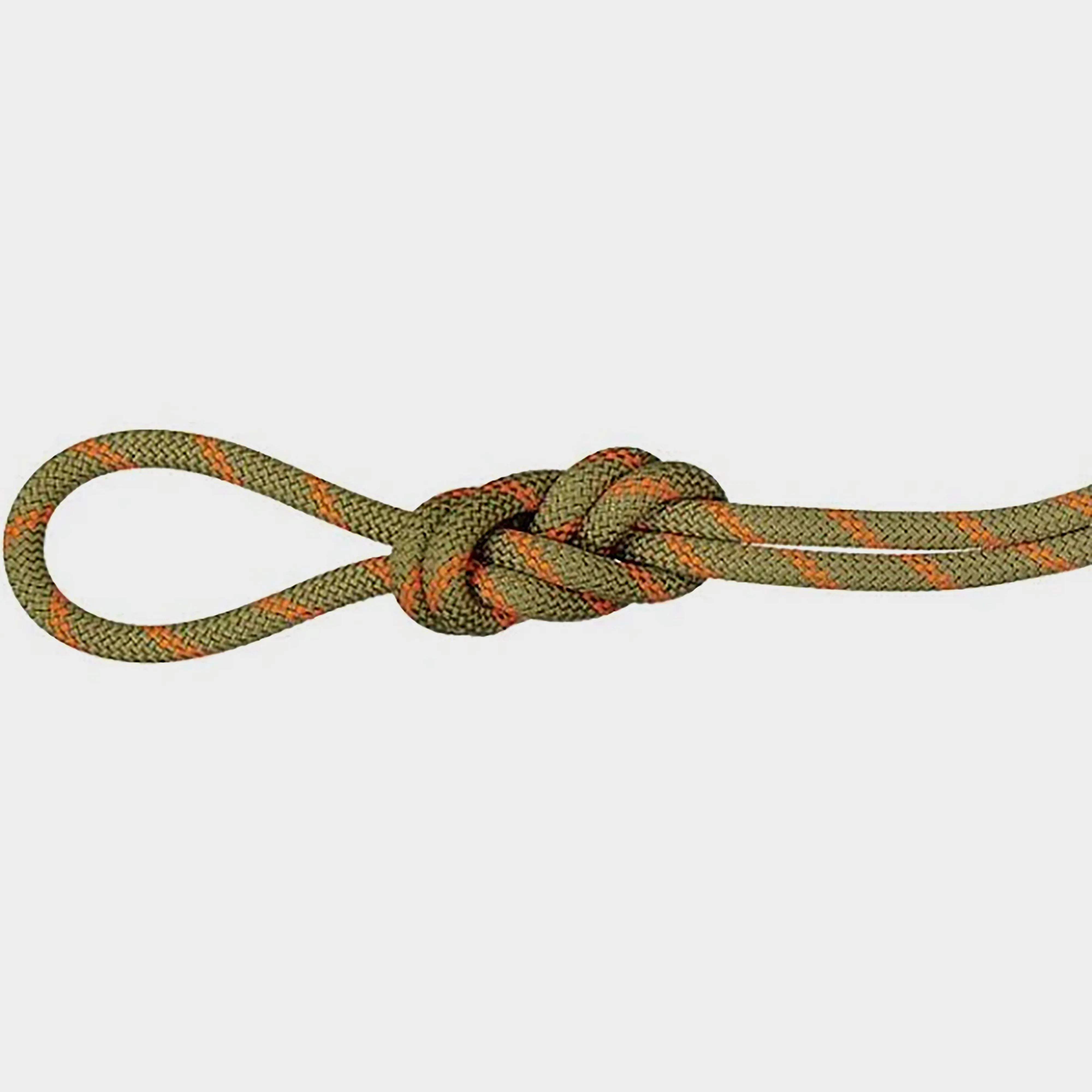 Mammut Alpine Dry 8.0 Rope 50m | Millets