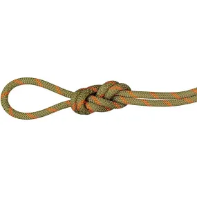 Mammut Alpine Dry 8.0 Rope 50m | Millets