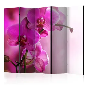 Paravento Pink orchid II [Room Dividers]