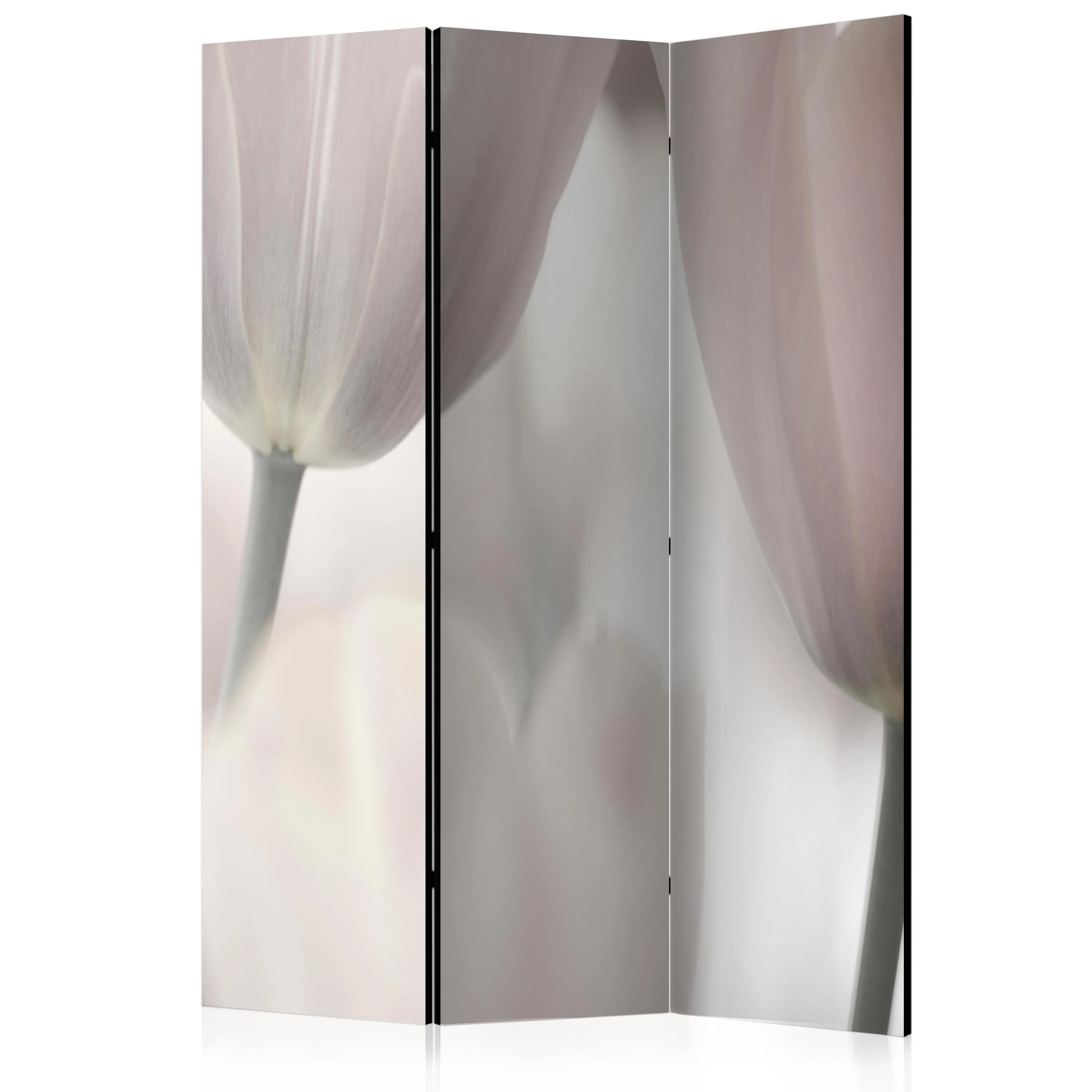 Paravento Tulips fine art black and white [Room Dividers]