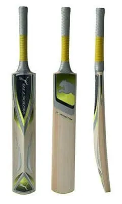 Puma Vendetta 4000 GT Junior Cricket Bat