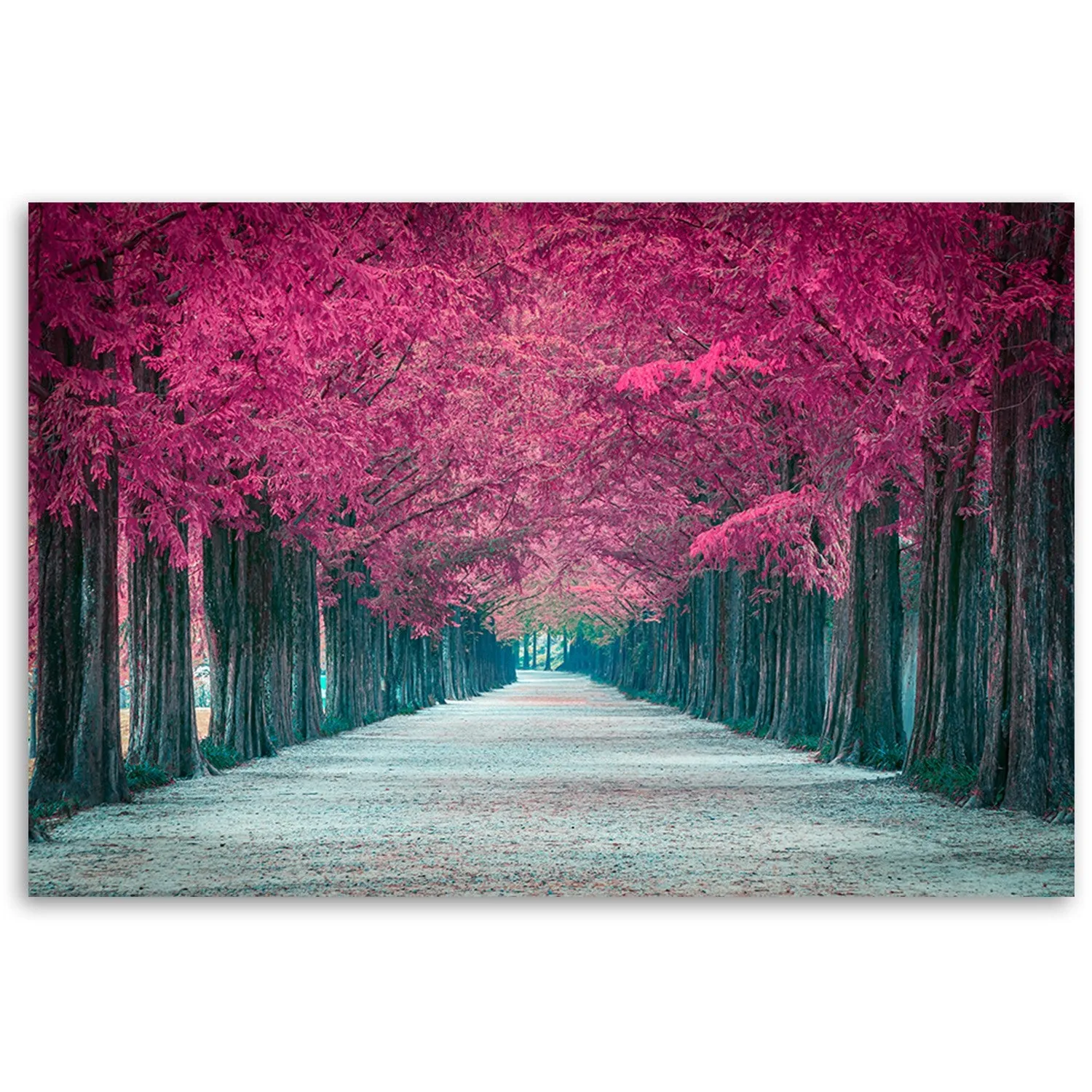 Quadro su tela, Avenue of Pink Trees